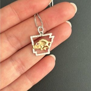 Arkansas RAZORBACK WITH RUBY EYE IN STATE FRAME PENDANT, two toned necklace
